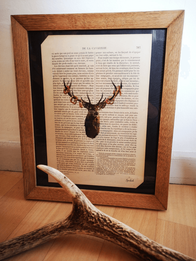Cerf